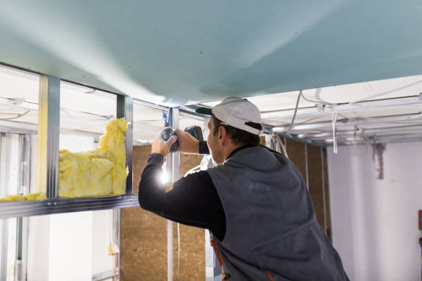 Best Insulation Installation Services in Epworth, IA